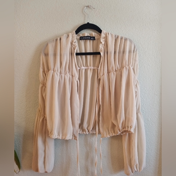 Lioness Au Revoir Sheer Puffed Balloon sleeve Babydoll Tiered Ruffled Top - Picture 5 of 9